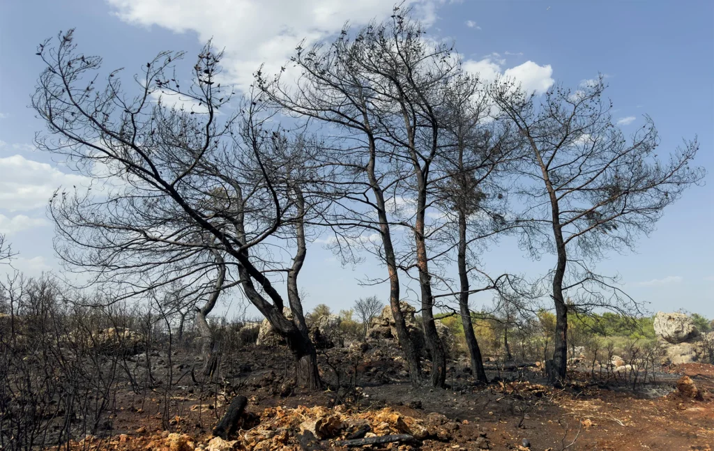 Ψηφιακά Εργαλεία για Επιχειρήσεις σε Πληγείσες Περιοχές